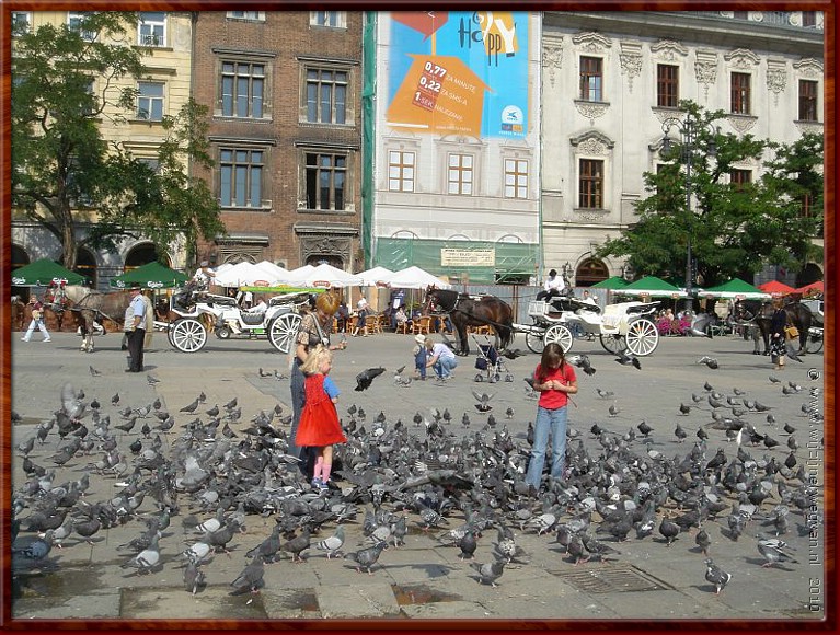 06 - Krakow - En duiven, die in werkelijkheid Teutoonse ridders zijn!.jpg