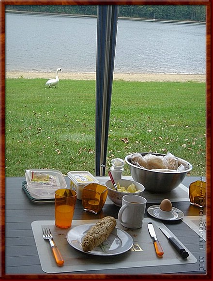 15 - Frymburk - De zwaan komt elke ochtend ontbijten.jpg