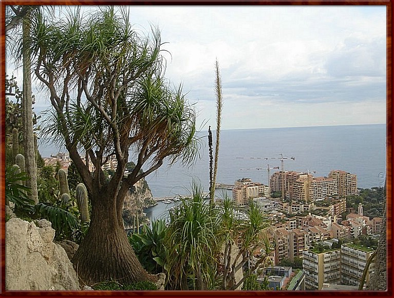 34 - Monaco - Jardin Exotique 1.jpg