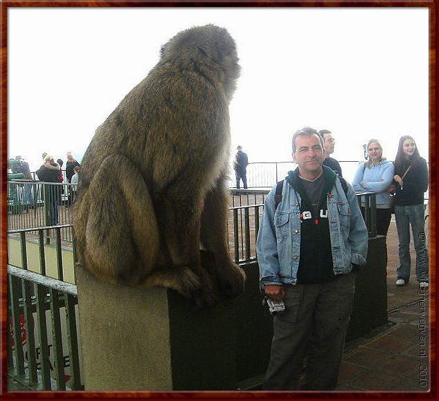 045 - Gibraltar - Grote apen hebben ze hier.jpg