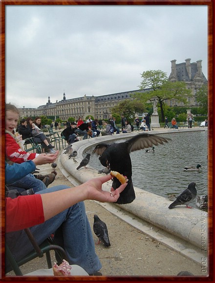 34 Parijs - Jardin des Tuileries - Natuurlijk voeden wij de hongerigen.jpg