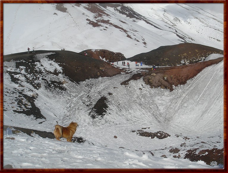 21 Etna - Silvestri krater - Waar heb ik nu mijn bot ook al weer begraven....JPG