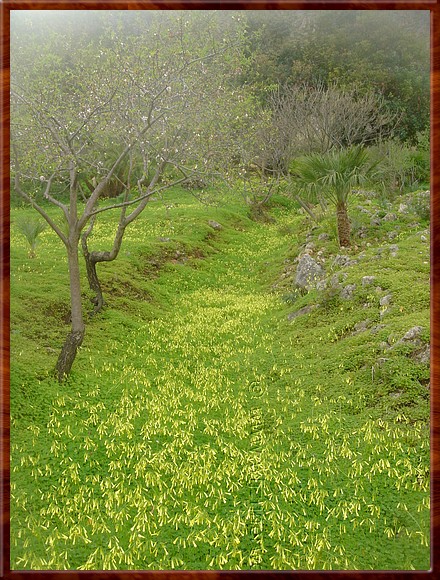 32 Zingaro Natuurreservaat 2.JPG