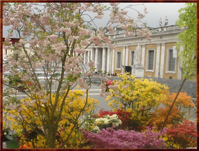 093 Vaticaan - Bloemen uit Nederland.JPG