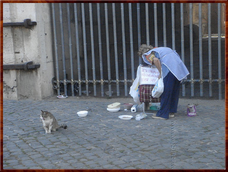 105 Rome - Colosseum - Kattenvrouwtje.JPG