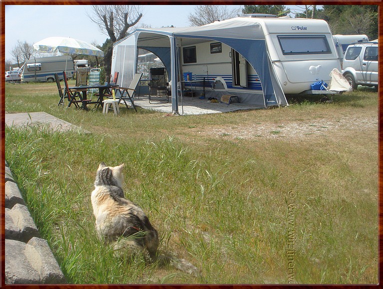 002 Cavallino - Hee, leuk. Er staan nieuwe mensen...jpg