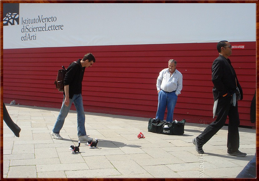 096 Venetië - Dierenhandel.JPG