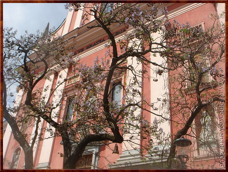 140 Ljubljana - Franciscaner kerk.JPG