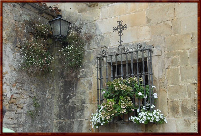 16 - Santillana del Mar - Bijna-ontsnapte-plant.JPG