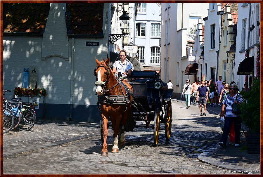 Brugge, 't Nieuw Walnutje 

Dagje Brugge        36/63