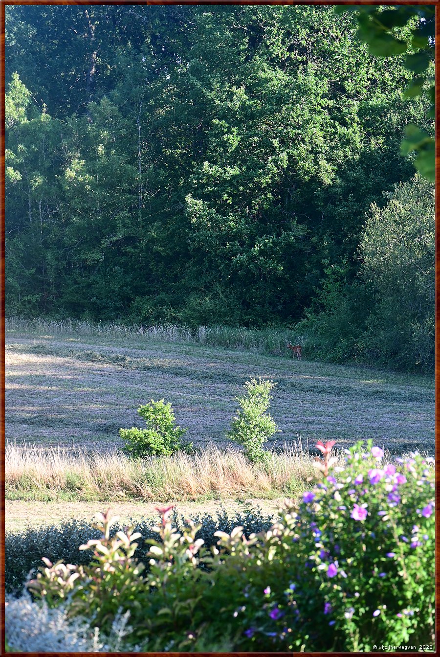 Bourgougnague,  

         9/48