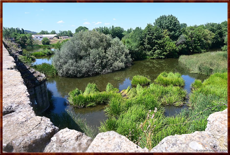 Ciudad Rodrigo, gueda rivier 

         31/83