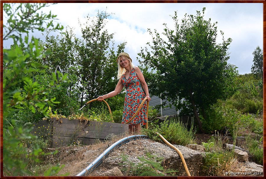 Pvoa de So Cosme, Aldeia Abandonada do Vieiro 

Zorgen voor de tomaten van morgen        11/16