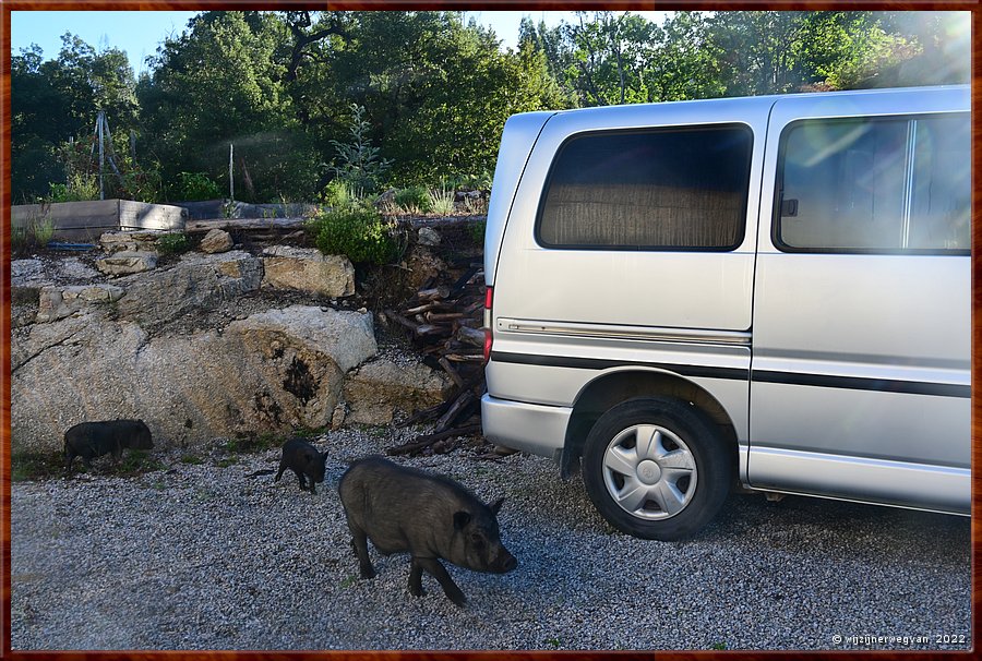 

Snuffelend rond de Toyota
Pvoa de So Cosme 

Póvoa de São Cosme  -  7/29