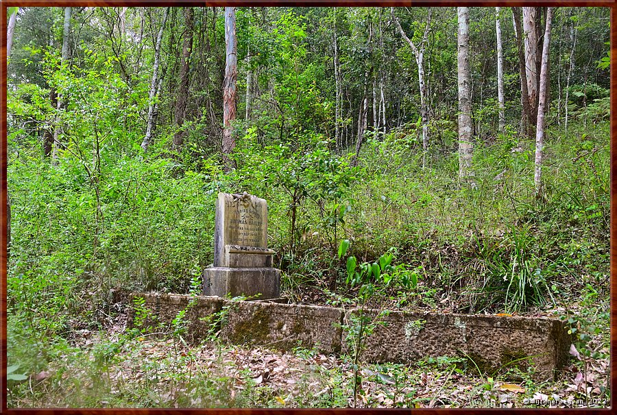 

Yarramalong vallei - Saint Barnabas Church and Cemetery
Oudste houten kerk van New South Wales (1885)  -  54/64