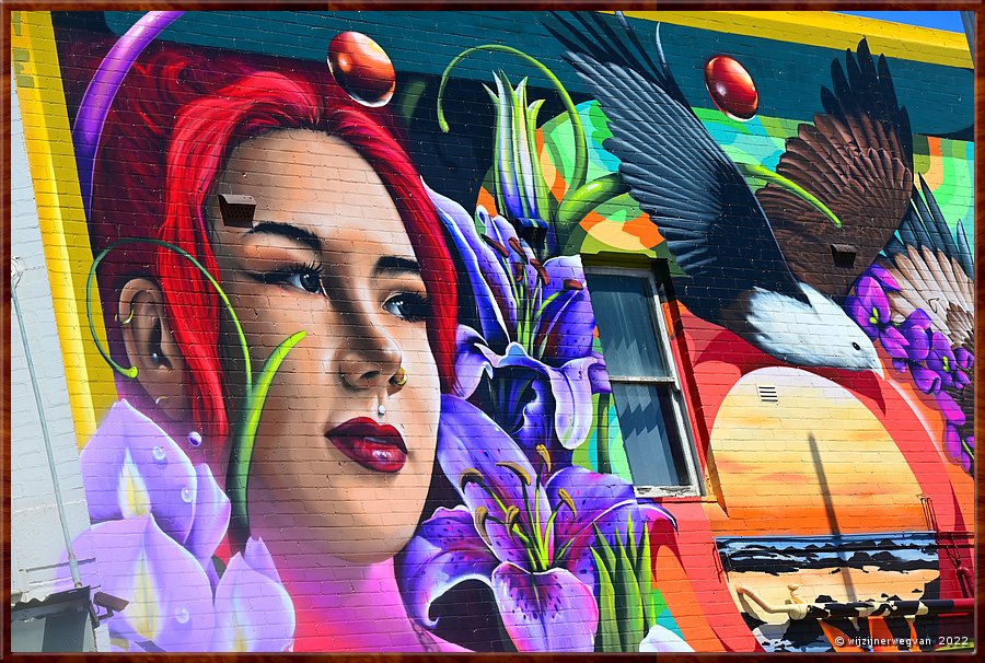 

In Newcastle is veel streetart te vinden  -  8/20