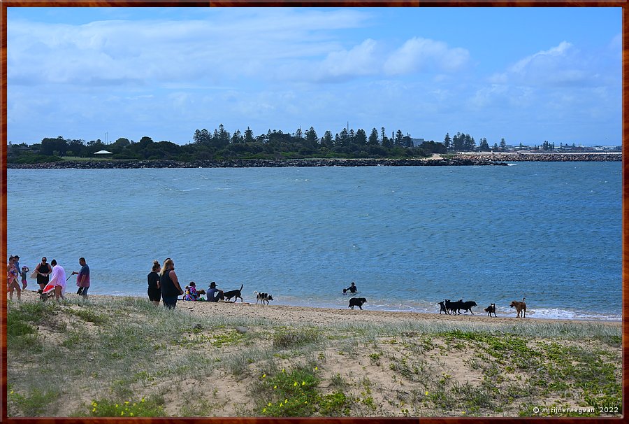 

Newcastle
Horseshoe Beach is een hondenstrand  -  16/28