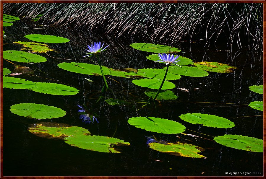 

Newcastle - Blackbutt Reserve  -  20/29