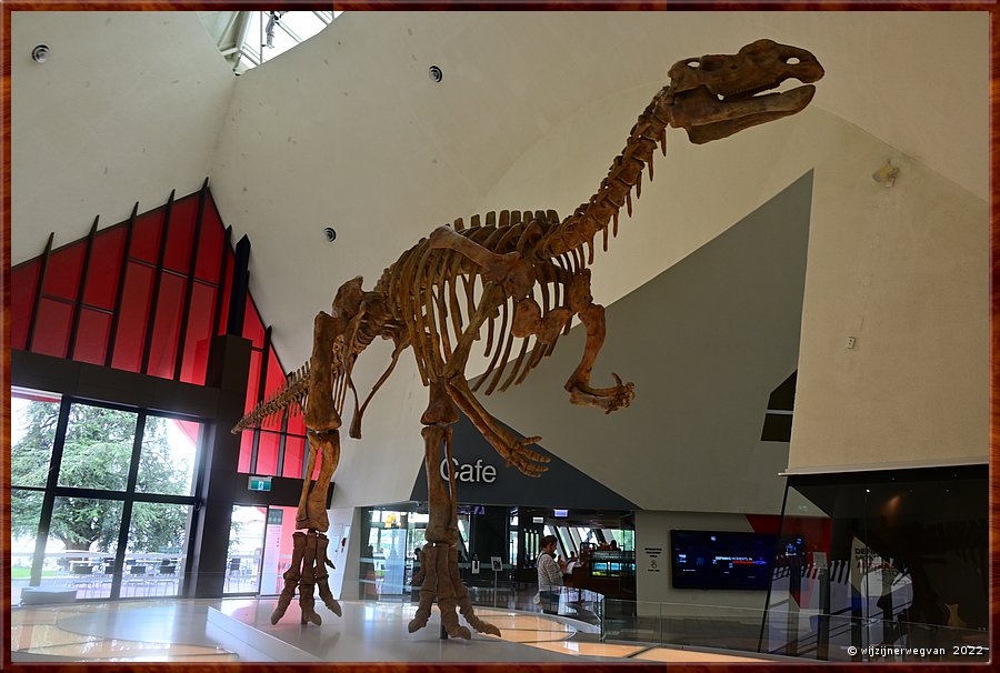 

Canberra - National Museum
Nee, geen T-rex, maar de Muttaburrasaurus, een planteneter van 100.000.000 jaar geleden - iets ouder dan de Holden!  -  4/24