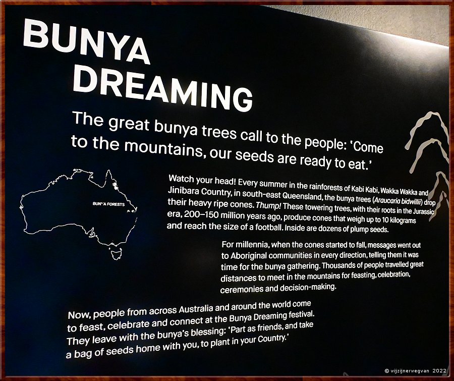 

Canberra - National Museum
Bunya Dreaming Festival; hoe een oud Aboriginal gebruik een nieuw jasje krijgt  -  5/24