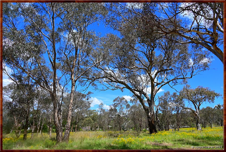 

Canberra - Red Hill Reserve  -  3/22