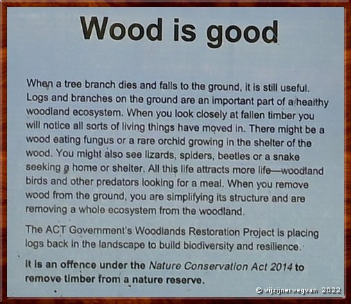 

Canberra - Red Hill Reserve
Wood is good!  -  6/22