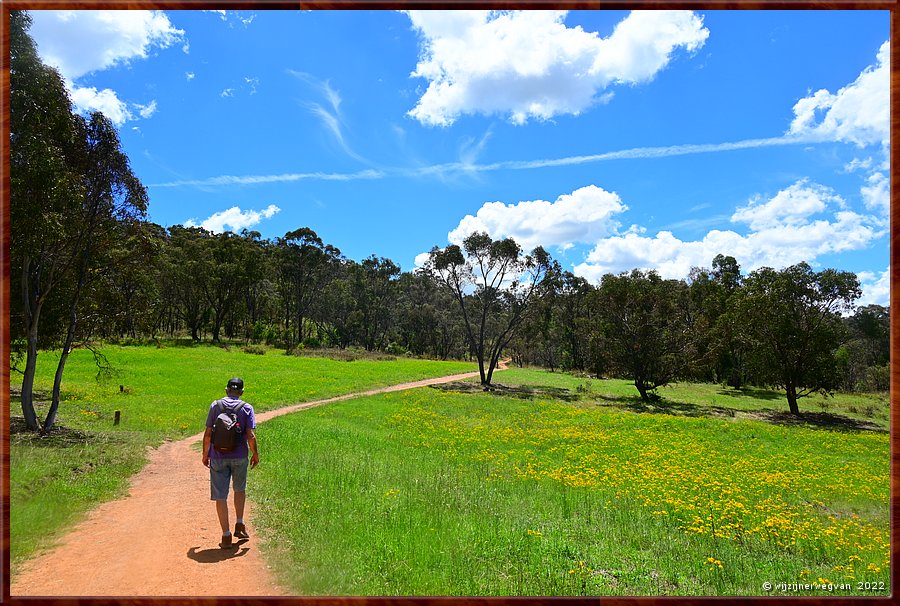 

Canberra - Red Hill Reserve  -  7/22