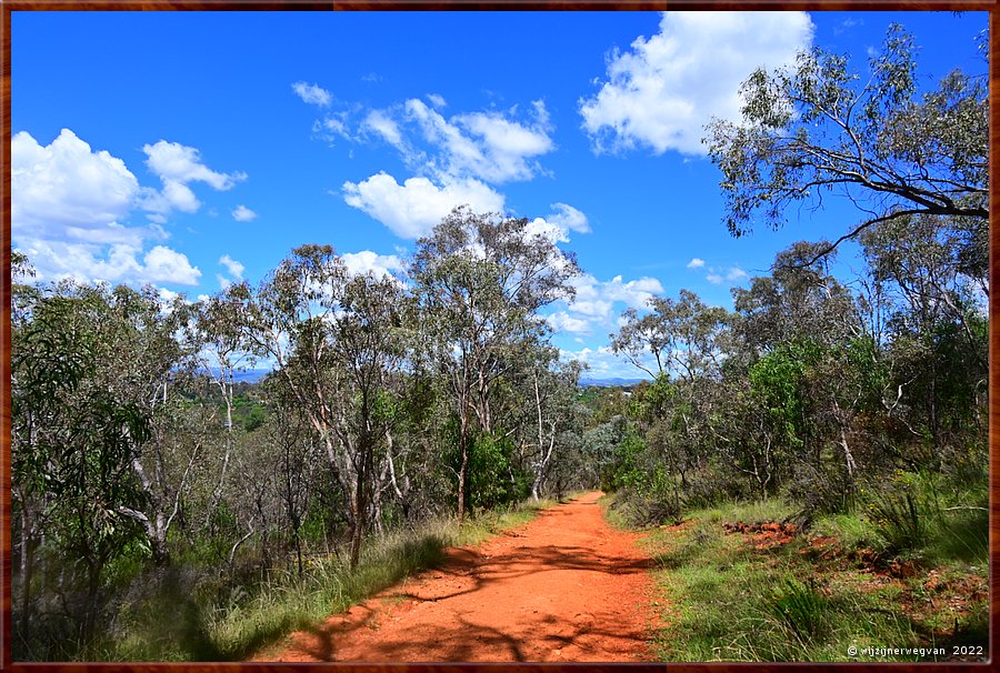 

Canberra - Red Hill Reserve  -  8/22