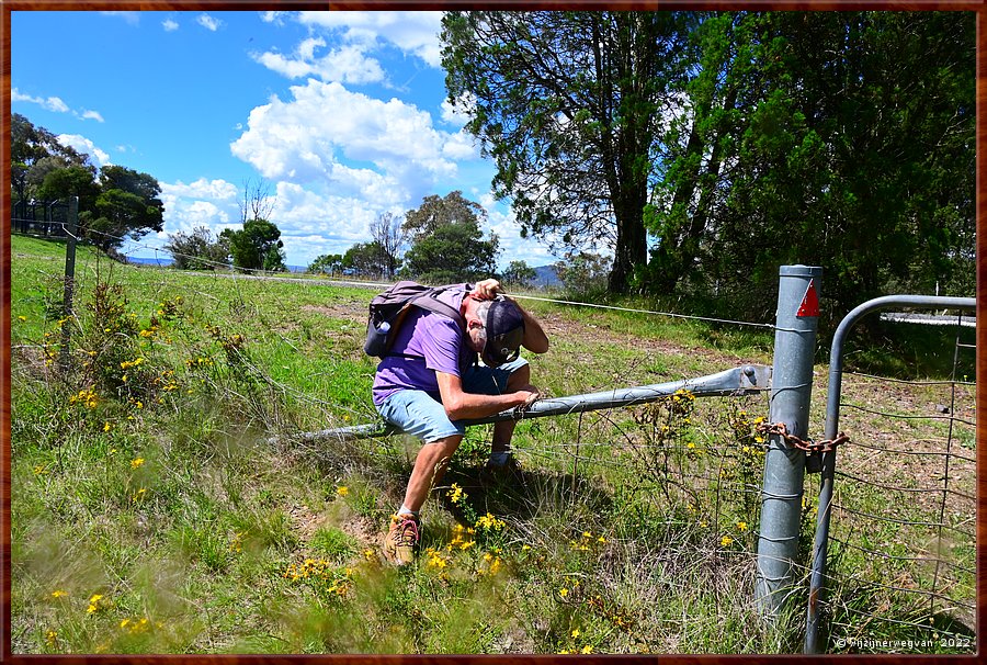 

Canberra - Red Hill Reserve
O fijn, prikkeldraad in mijn nek  -  14/22