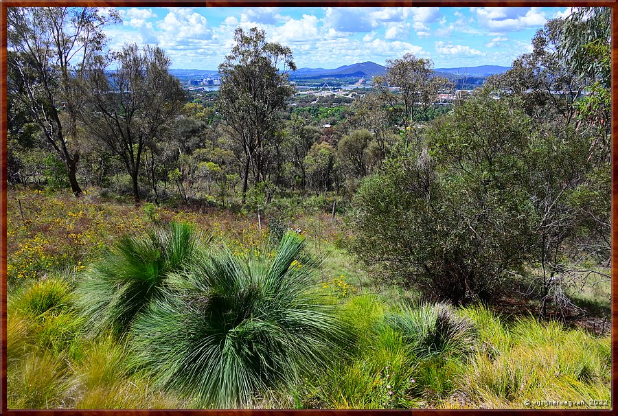 

Canberra - Red Hill Reserve
Uitzicht op het Parlement en Australian War Memorial 
aan de voet van Mount Ainslie  -  16/22