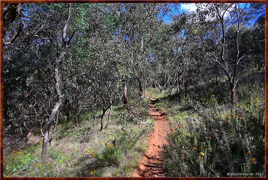 

Canberra - Red Hill Reserve
De weg gaat verder, eindeloos...  -  21/22