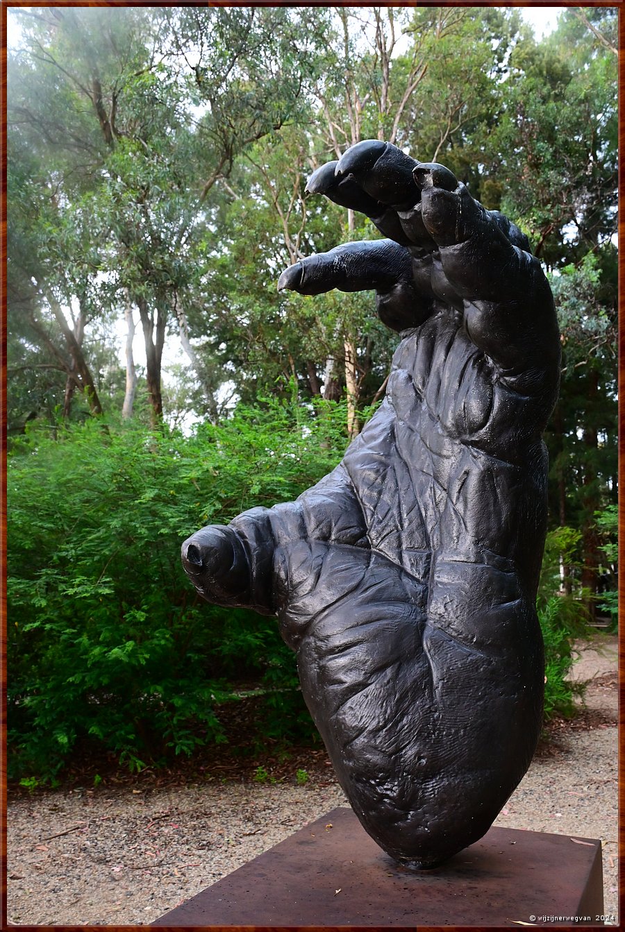 

Canberra - National Gallery
'Orangutan foot', Lisa Roet, (2007-2008)  -  67/71