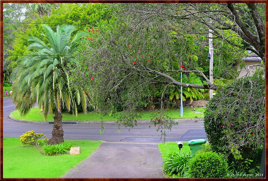 

Sydney, St Ives
Je kunt in ieder geval direct zien dat deze straat niet in Nederland ligt!  -  5/25