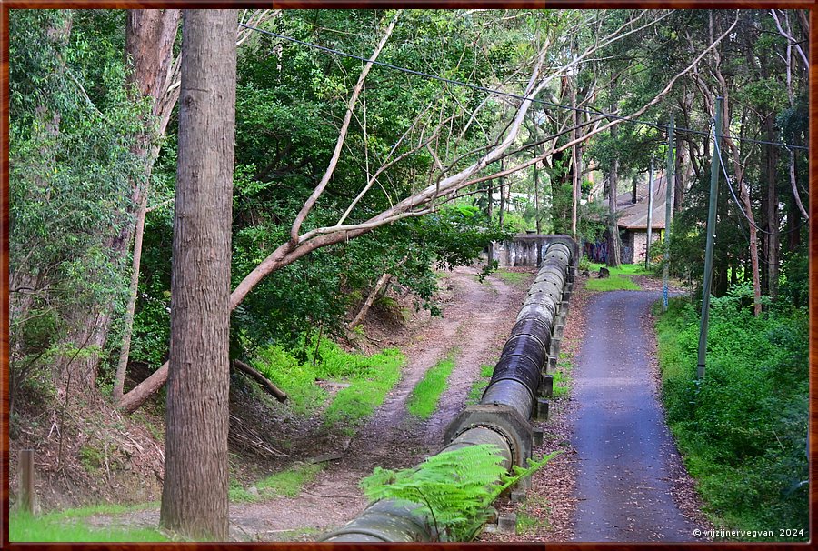 

Sydney, St Ives
Bungaroo Reserve
The Pipeline Track  -  14/25