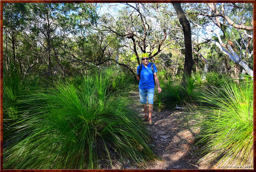 

Sydney, St Ives
Bungaroo Reserve  -  19/25