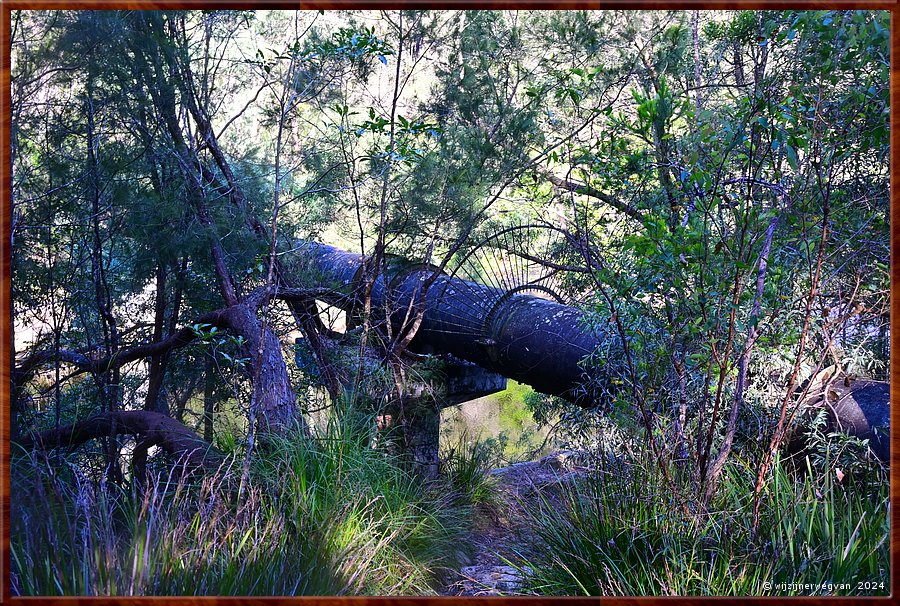 

Sydney, St Ives
Bungaroo Reserve
Waterpijpleiding  -  21/25