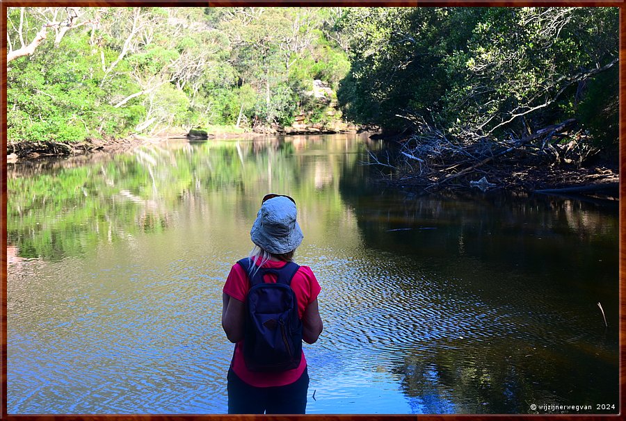 

Sydney, St Ives
Bungaroo Reserve
Middle Harbour Creek  -  24/25