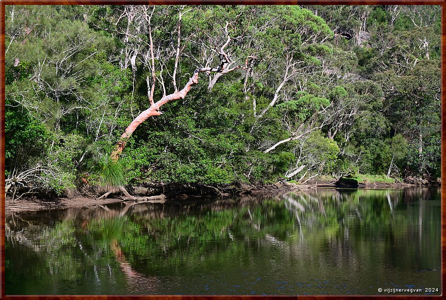 

Sydney, St Ives
Bungaroo Reserve
Middle Harbour Creek  -  25/25