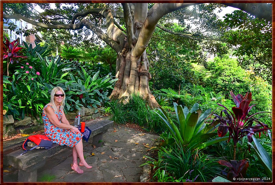 

Sydney, Wendy's Secret Garden
De tuin is aangelegd onder een drietal gigantische vijgenbomen  -  28/49