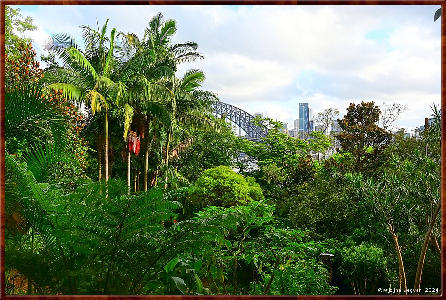 

Sydney, Wendy's Secret Garden
Arkies Bangalow palmbomen  -  33/49