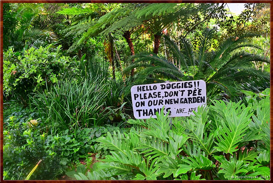 

Sydney, Wendy's Secret Garden

Hello Doggies!!
Please, don't pee
On our new garden.
Thanks  Arf Arf  -  39/49