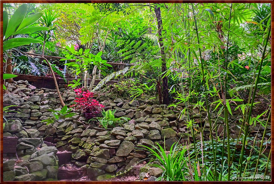 

Sydney, Wendy's Secret Garden
De tuin ligt tegen een berghelling evlijd  -  44/49