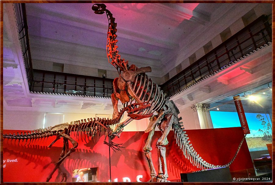 

Sydney
Australian Museum
'Afrovenator abakensis', een theropod  -  54/71