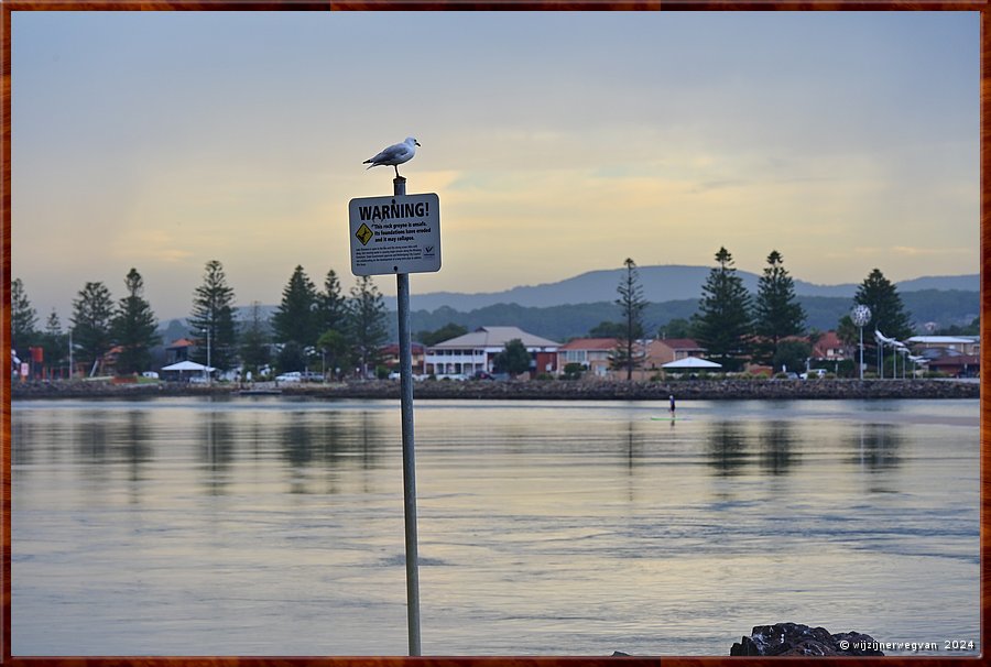 

Windang
Lake Illawarra
Zilvermeeuw  -  10/14