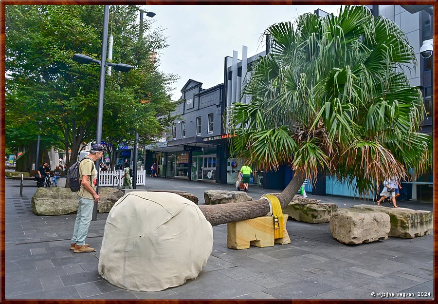 

Wollongong, Crown street  Mall
Illawarra placed landscape, Mike Hewson
Palm tree seats  -  20/33