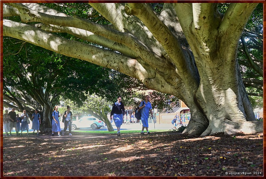 

Wollongong
Market Square
Leerlingen St Mary Star of the Sea College  -  11/17