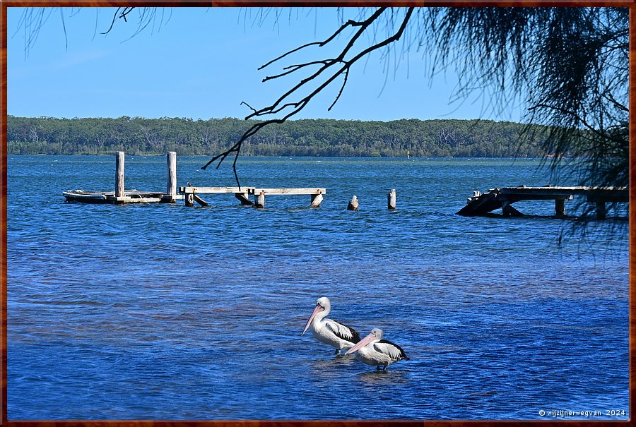 

St Georges Basin
Lagune  -  18/31