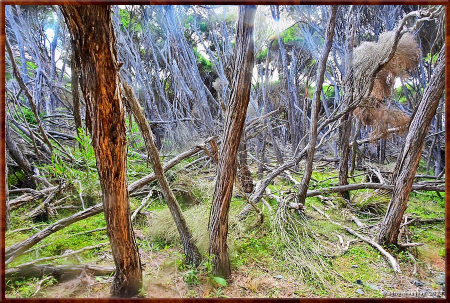 

Tura Beach
Tura Headland Walk  -  3/28