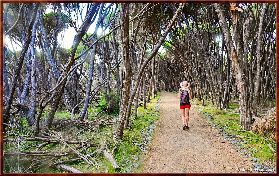 

Tura Beach
Tura Headland Walk  -  4/28