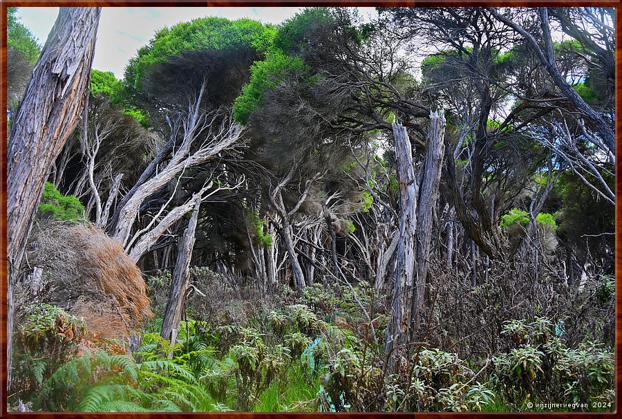 

Tura Beach
Tura Headland Walk  -  5/28